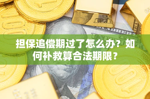 济南担保追偿期过了怎么办？如何补救算合法期限？