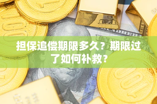 济南担保追偿期限多久？期限过了如何补救？