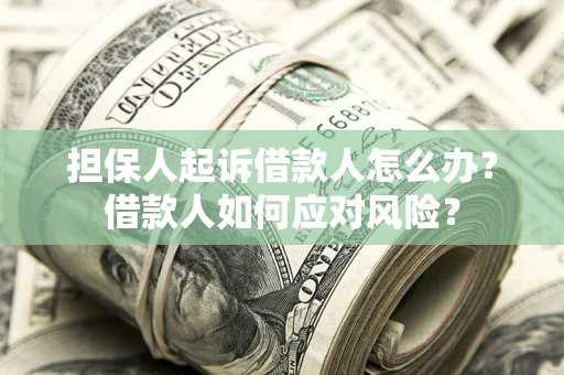 济南担保人起诉借款人怎么办？借款人如何应对风险？