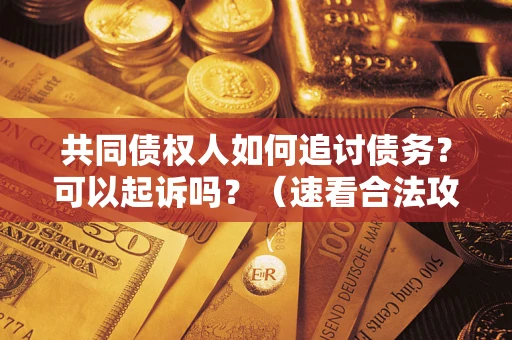 济南共同债权人如何追讨债务？可以起诉吗？（速看合法攻略）